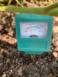 Moisture Meter