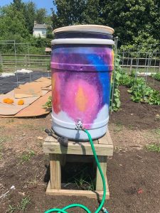 Rain Barrel